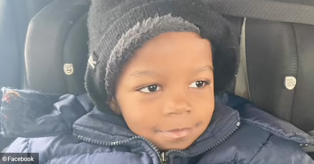 2023 Dog Bite Fatality: Loose Pit Bull Kills 4-Year Old Boy on Detroit ...
