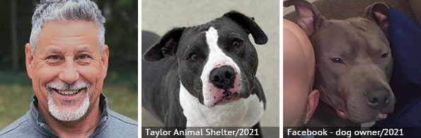 Daniel Bonacorsi - fatal pit bull attack, 2023 breed identification photograph