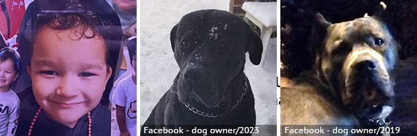 Loyalty Scott - fatal mastiff-mix attack, 2023 breed identification photograph