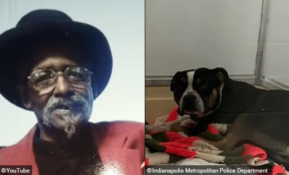 Elderly pastor dies dog attack