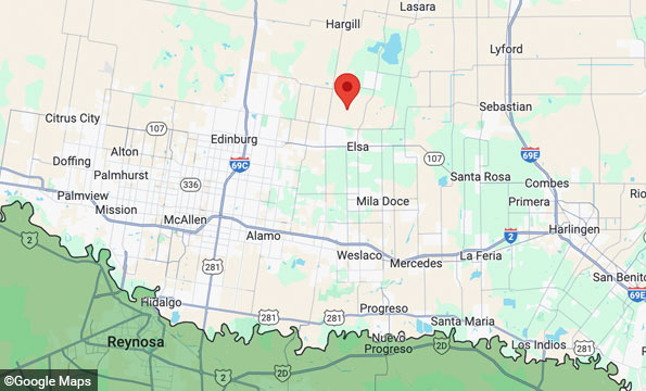 rural Hidalgo county fatal dog mauling