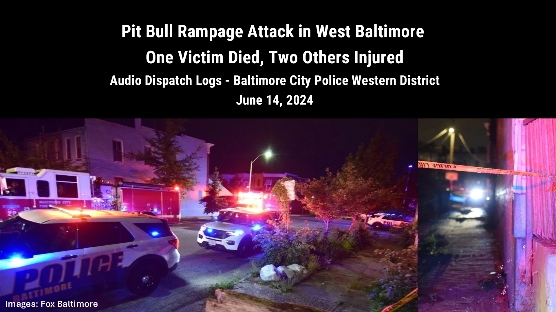 pit bull rampage attack Baltimore