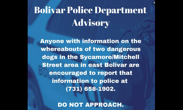 bolivar advisory dangerous dogs