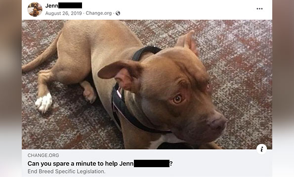 Pit bull kills owner with bite to the throat