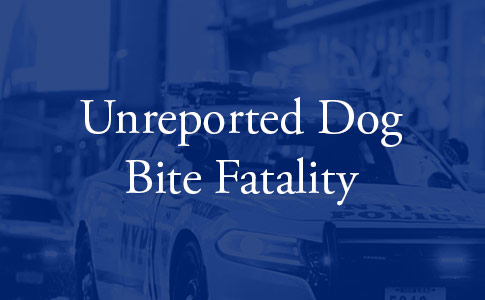 unreported pit bull fatality