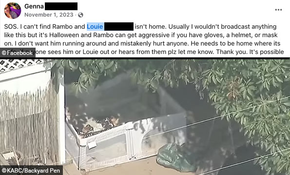 newborn dies dog bite torrance, view of the backyard