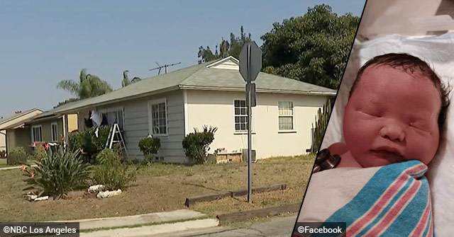newborn dies dog bite torrance