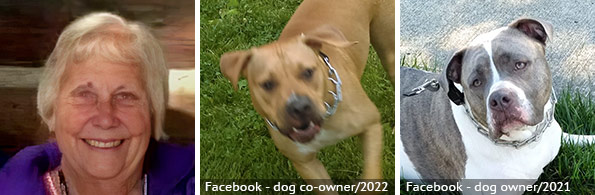 Jo Echelbarger - fatal pit bull attack, 2024 breed identification photograph