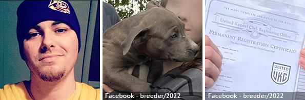 Johnny Fontenot - fatal pit bull attack, 2024 breed identification photograph