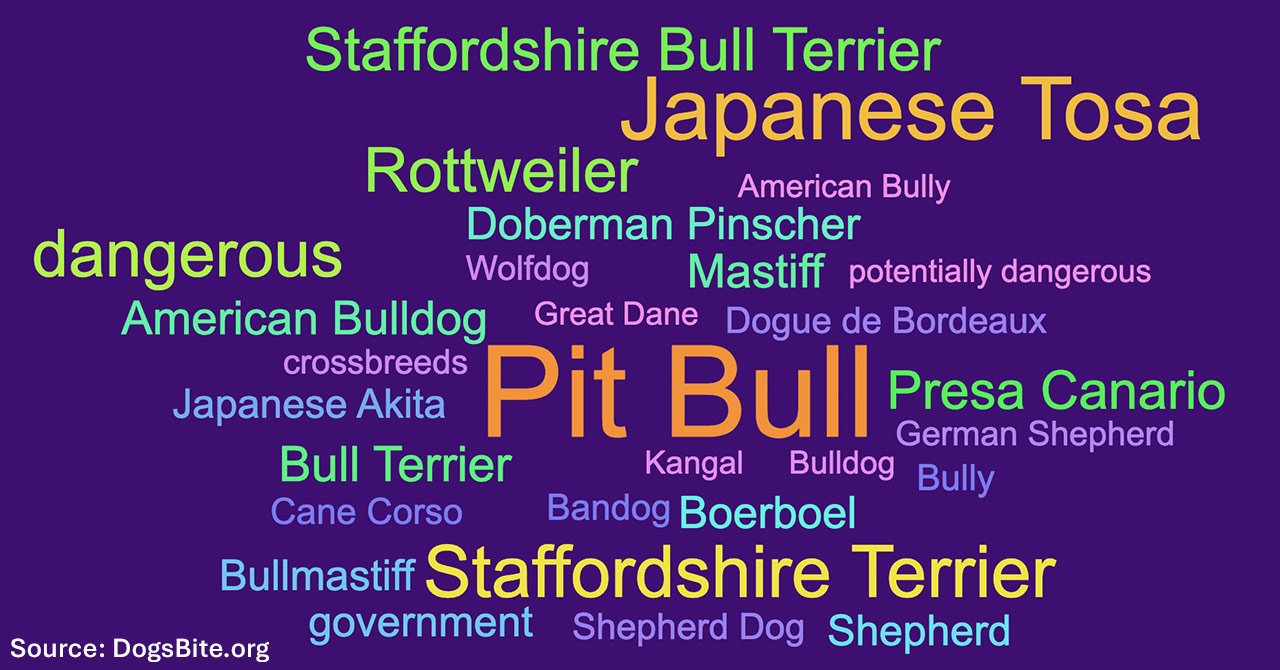 worldwide breed-specific laws word cloud