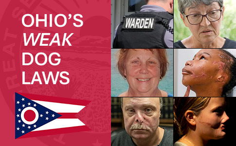 Ohios weak dangerous dog laws