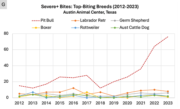 Austin, Texas: Severe injury dog bite data by breed 2018 to 2023