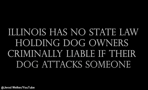 documentary short pit bull attack