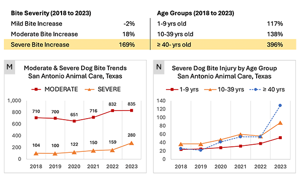 San Antonio, Texas: Severe injury dog bite data by age group 2018 to 2023