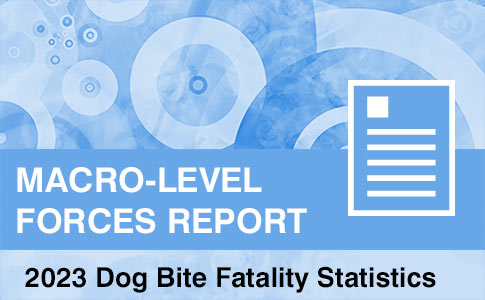 2023 Macro Level Forces Report