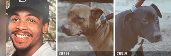 Kenneth Pierson - fatal dog attack, 2024 breed identification photograph