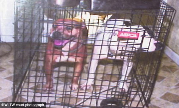 That pit bulls that killed Kingsley Wright in Roselawn